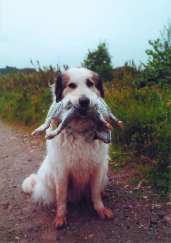 med_Sorry, ist einfach so passiert!.jpg (337 x 479)